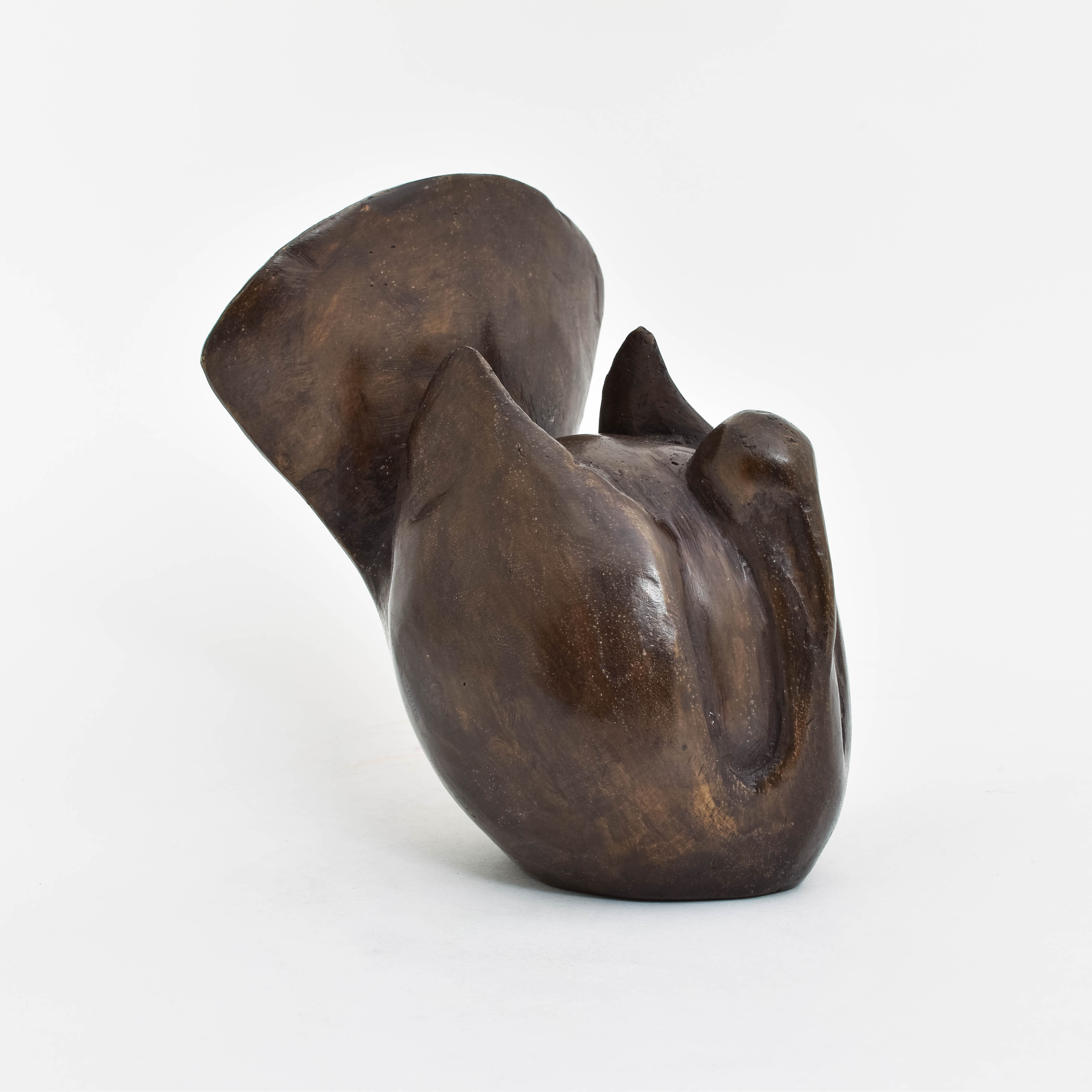 Bronzen Beeld Robuuste Vogel 