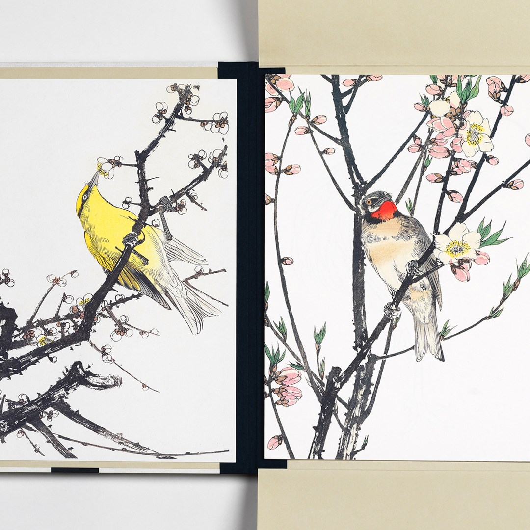 Japanse Vogel Prenten