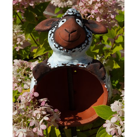 Tuinbol Schaap Bruin